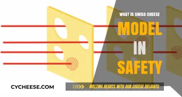 Swiss Cheese Model: A Unique Approach to Safety