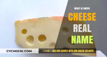 Swiss Cheese: The Real Name Behind the Holes