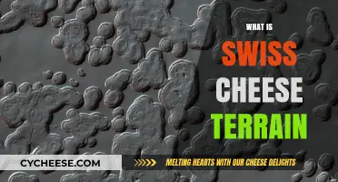 Swiss Cheese Terrain: Exploring the Moon's Pockmarked Surface