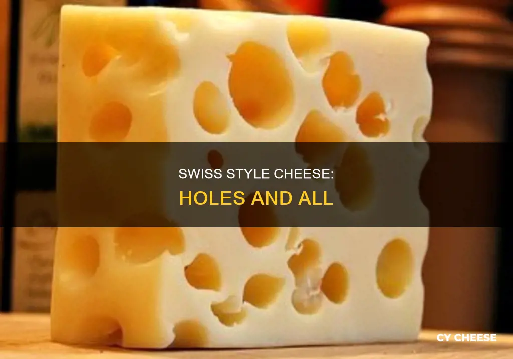 what is swiss style cheese