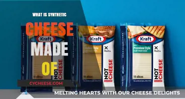 Unveiling the Mystery: Synthetic Cheese Ingredients Revealed