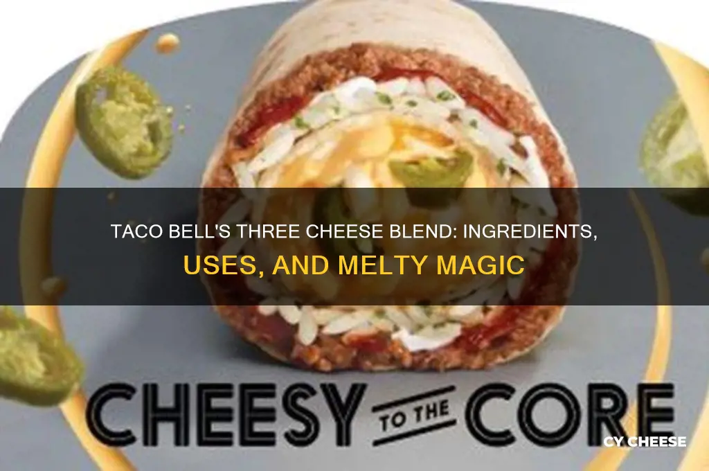 what is taco bell