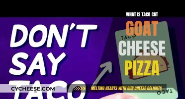 Taco Cat Goat Cheese Pizza: What's the Fun Card Game?