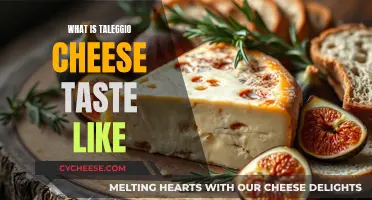 A Creamy, Earthy Delight: Exploring Taleggio's Unique Flavor Profile