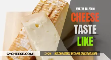 The Unique, Robust Flavor of Taleggio Cheese