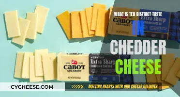 Unraveling Cheddar's Unique Flavor Profile: A Tasty Adventure