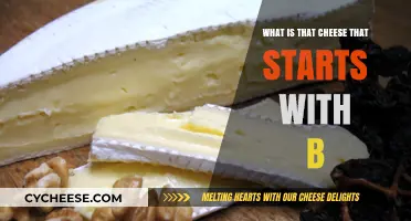 Discovering the Creamy Delight: What is That Cheese Starting with B?