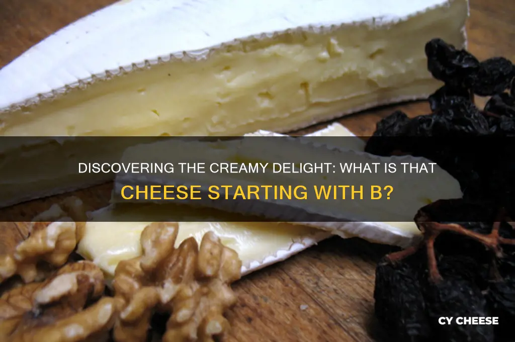 what is that cheese that starts with b