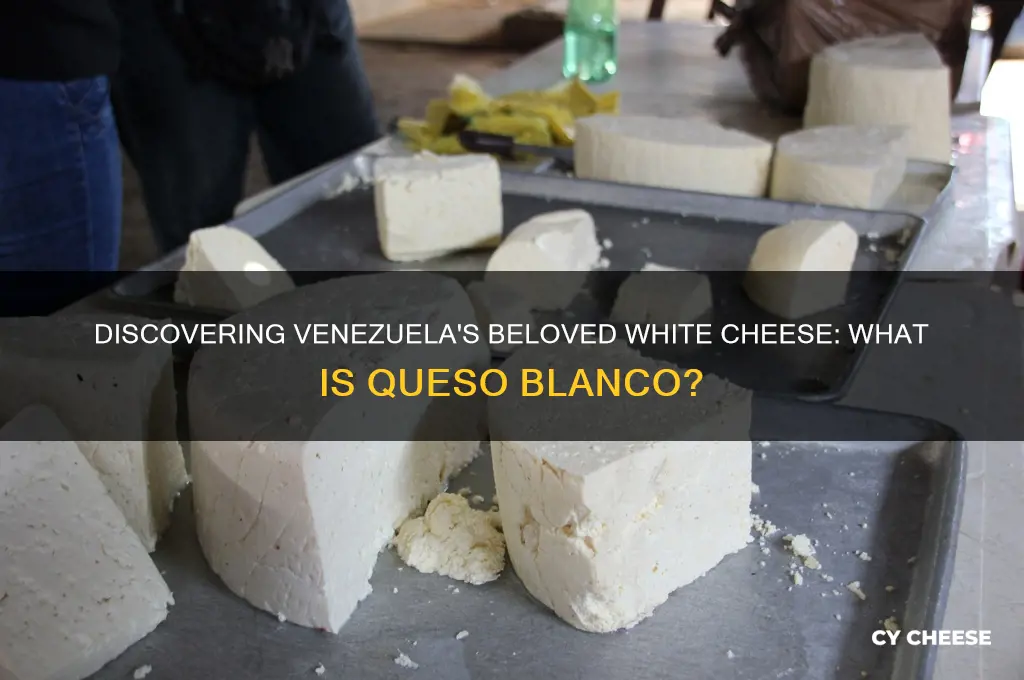 what is that white cheese in venezuela called