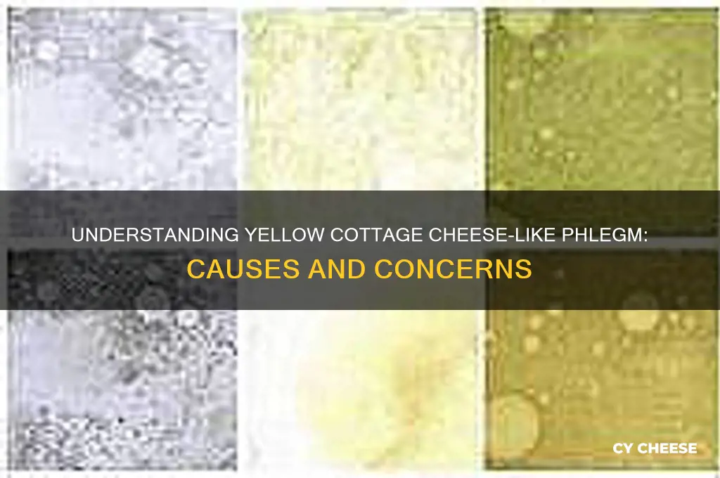 what is that yellow cottage cheese i cough up