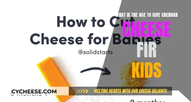 Cheese Safety: The Cheddar Cheddar for Kids