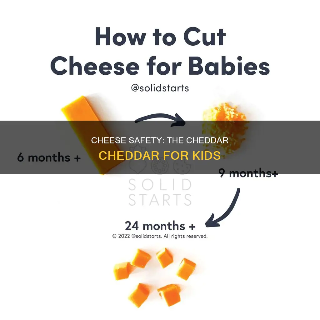 what is the age to give cheddar cheese fir kids