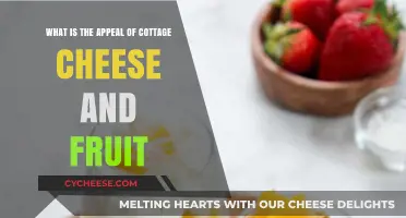 Cottage Cheese and Fruit: A Refreshing, Nutritious, and Versatile Snack Delight