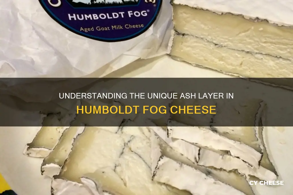 what is the ash in humboldt fog cheese