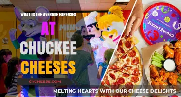 Exploring Chuck E. Cheese's Average Expenses: A Family Budget Guide