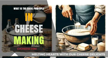 Mastering Cheese Making: Understanding the Fundamental Principles Behind It