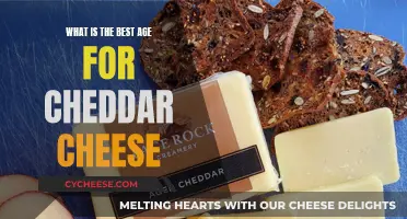 The Cheddar Conundrum: Unveiling the Perfect Age for a Creamy Bite