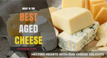 Aged Cheeses: The Best of the Best