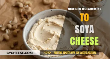 Vegan-Friendly Soy-Free Cheeses: Delicious Alternatives