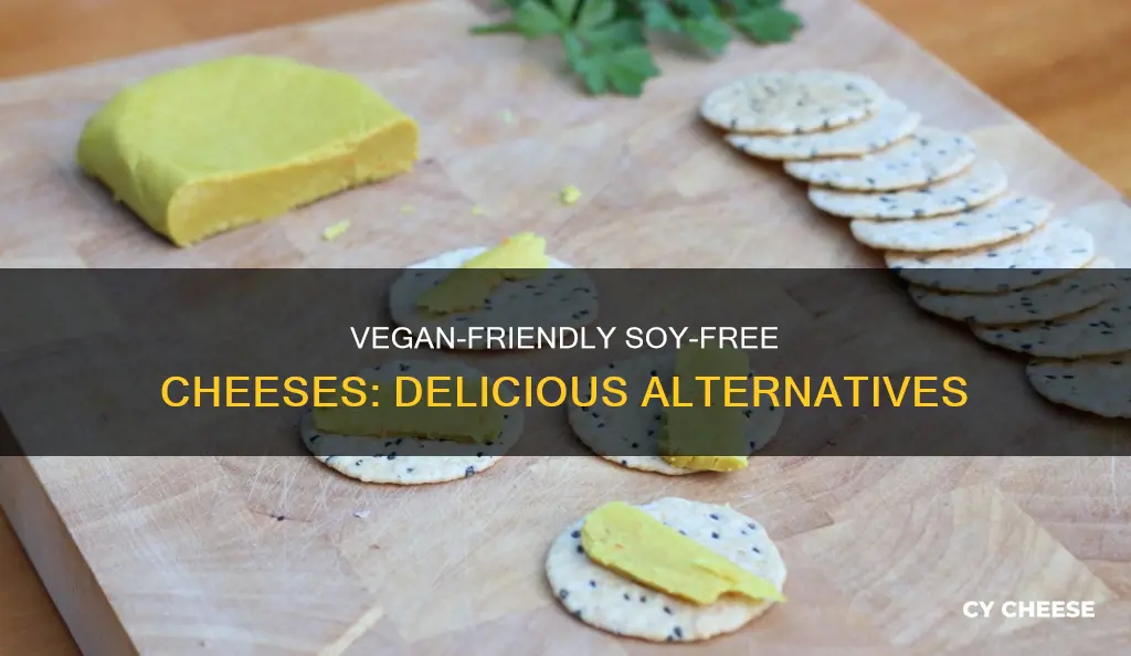 what is the best alternative to soya cheese