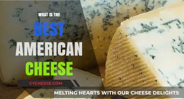 American Cheese: Best Varieties to Try