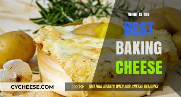 Best Cheeses for Baking: Melting Magic