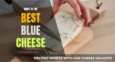 Blue Cheese Bliss: Finding the Perfect Savory Bite