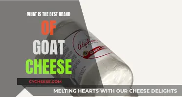 Goat Cheese Brands: The Creamy, Dreamy Top Picks
