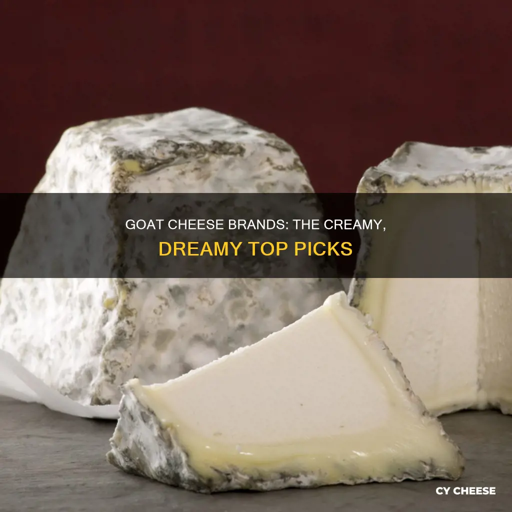 what is the best brand of goat cheese