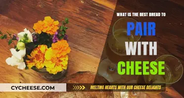 Bread and Cheese: The Perfect Pairing Guide