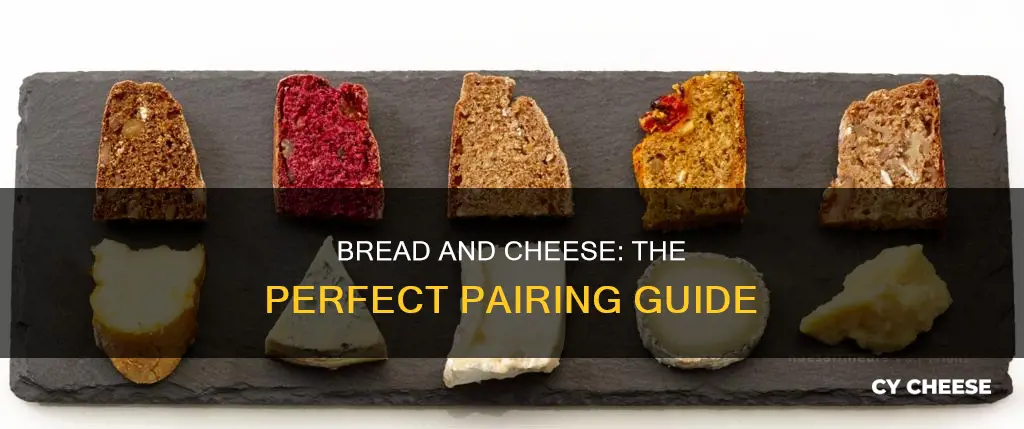 what is the best bread to pair with cheese