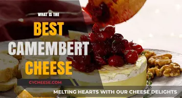 Camembert Connoisseur: The Best Cheeses to Try