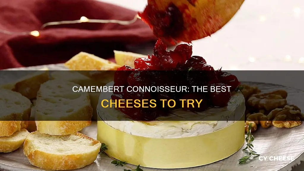 what is the best camembert cheese