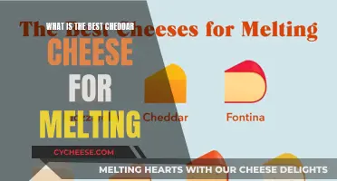 The Ultimate Guide to Cheddar for Melting: A Cheesemaker's Secret