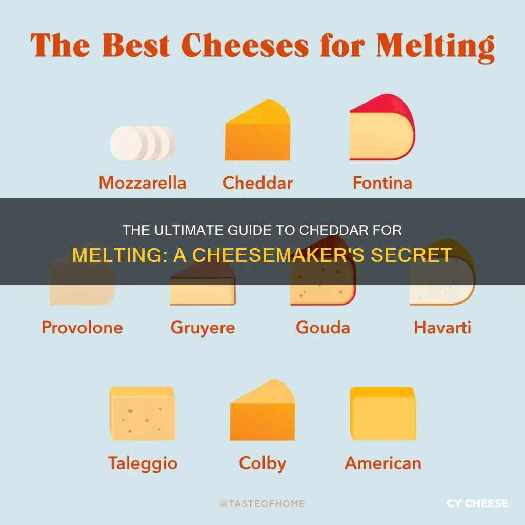 what is the best cheddar cheese for melting