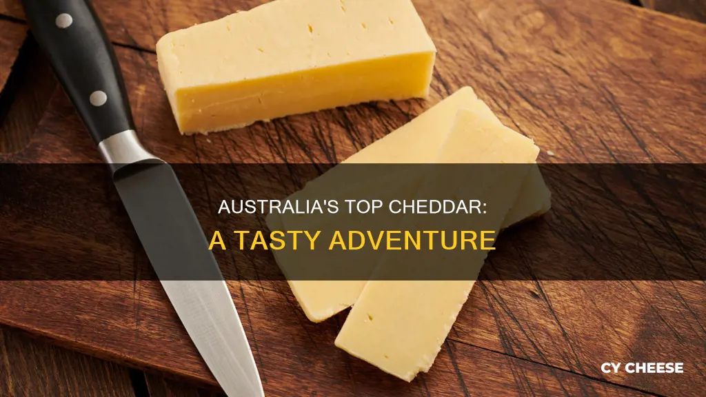 what is the best cheddar cheese in australia