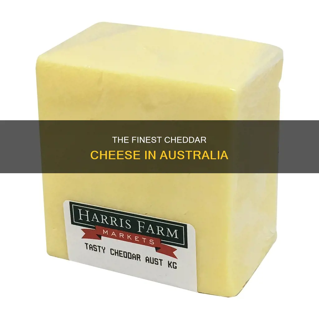 what is the best cheddar cheese in australia