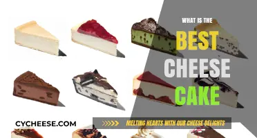 Cheese Cake Conundrum: Finding the Perfect Indulgence