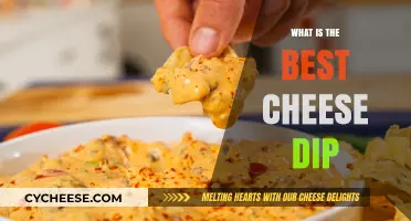 Cheese Dip: Ultimate Recipes and Guide