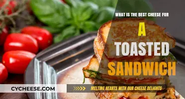 Toasty, Cheesy Bliss: Finding the Perfect Cheese