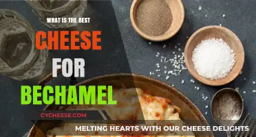 The Perfect Cheese for Bechamel Sauce