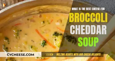 The Ultimate Guide to Broccoli Cheddar Soup: Top Cheese Choices