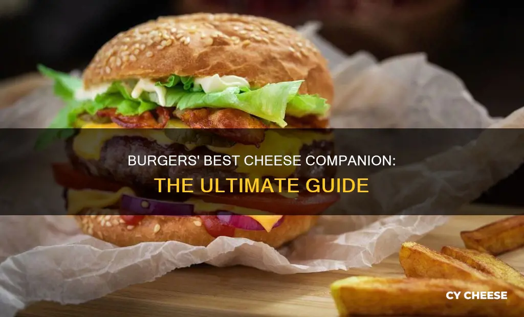 what is the best cheese for burgers