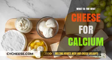 Cheese and Calcium: Which Cheeses are Richest?