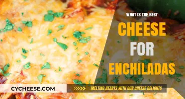 Cheese Enchiladas: The Best Cheese Combinations