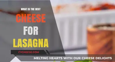 Lasagna's Best Cheese: Mozzarella, Ricotta, or Parmesan?