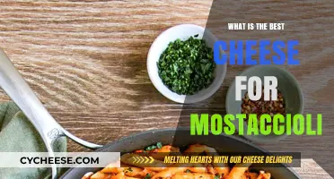 Cheese Options for Mostaccioli: Finding the Perfect Match