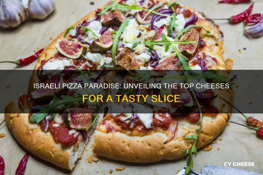 Israeli Pizza Paradise: Unveiling The Top Cheeses For A Tasty Slice ...