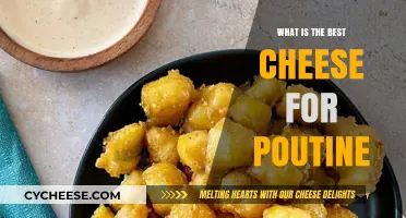 Cheese Curds: The Heart and Soul of Poutine