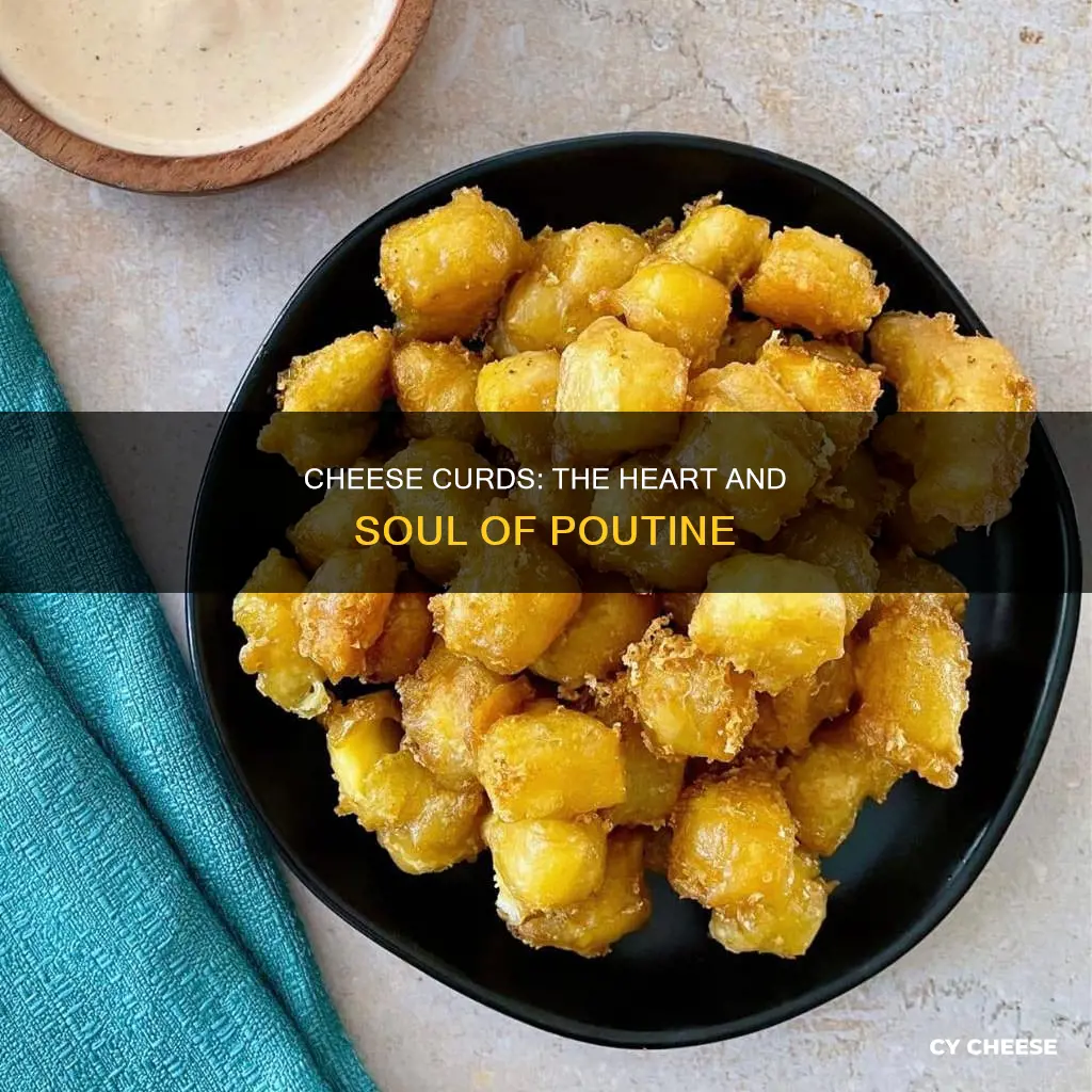 what is the best cheese for poutine